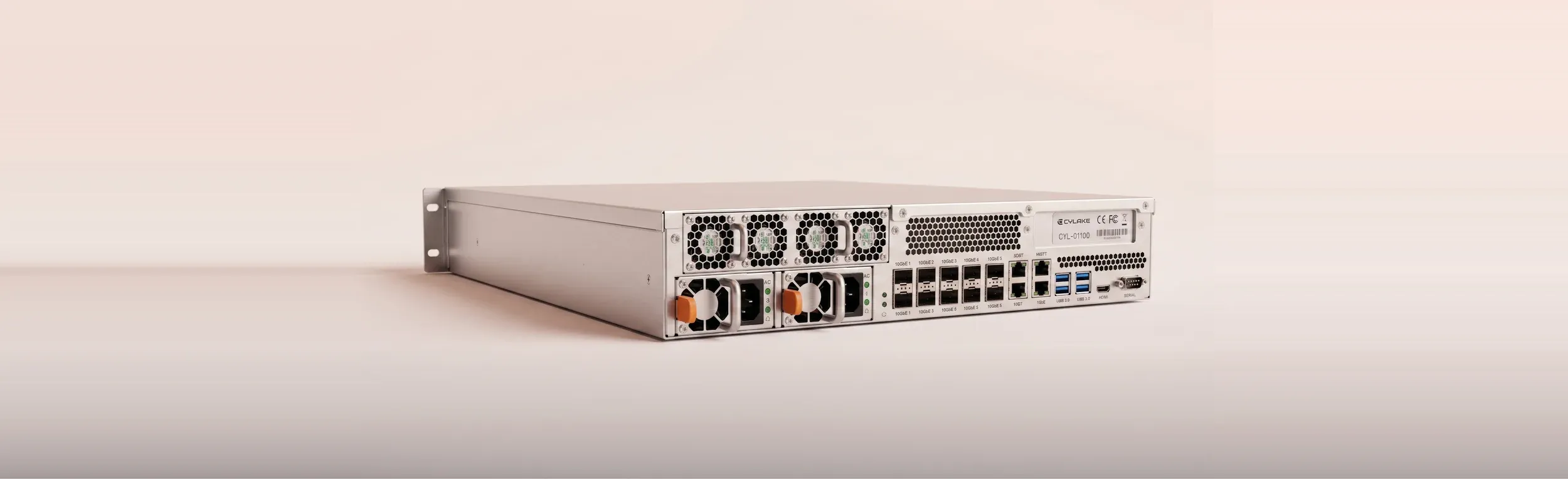 A Cylake rack unit from the rear and side — the brushed chassis on its rails, dual hot-swap power supplies, the fan bank and a port panel of network cages and service sockets.